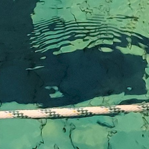 Les élèves à la piscine de Saint-Renan