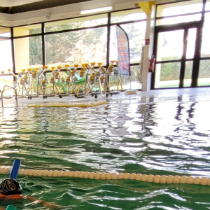 Les élèves à la piscine de Saint-Renan